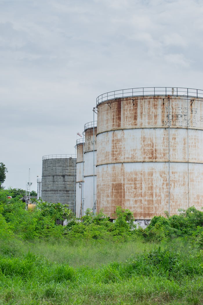 Rusty storage silos in an overgrown industrial setting, perfect for industrial imagery.